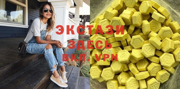 ГАЛЛЮЦИНОГЕННЫЕ ГРИБЫ Козловка