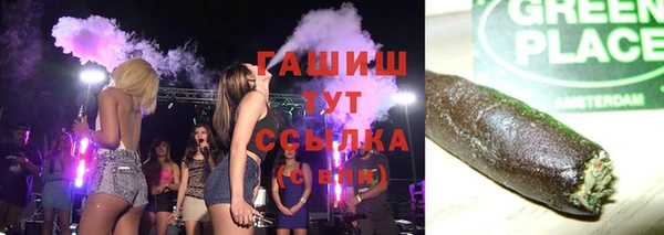 ГАЛЛЮЦИНОГЕННЫЕ ГРИБЫ Козловка