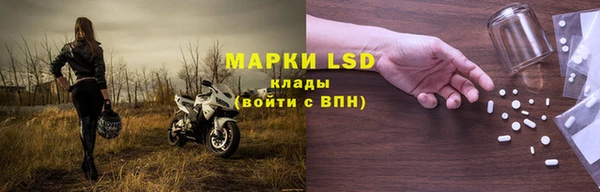 ГАЛЛЮЦИНОГЕННЫЕ ГРИБЫ Козловка