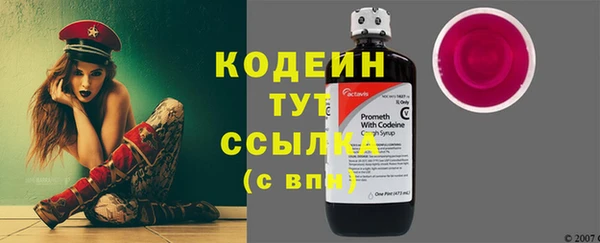 ГАЛЛЮЦИНОГЕННЫЕ ГРИБЫ Козловка