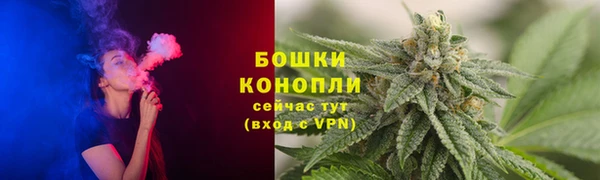 mix Козельск