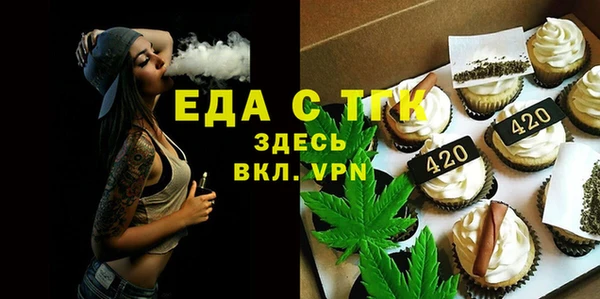 ГАЛЛЮЦИНОГЕННЫЕ ГРИБЫ Козловка