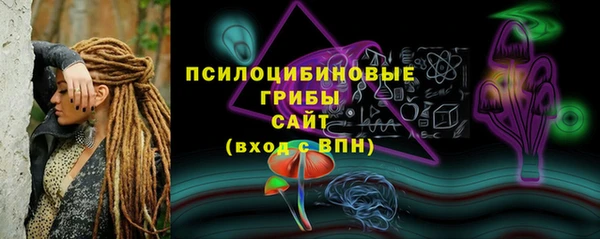ГАЛЛЮЦИНОГЕННЫЕ ГРИБЫ Козловка