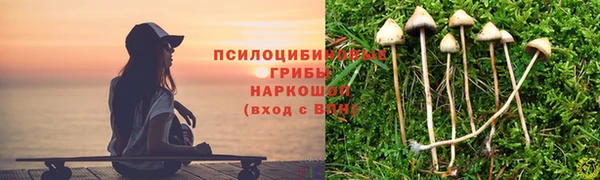 mix Кодинск