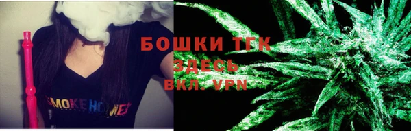 ГАЛЛЮЦИНОГЕННЫЕ ГРИБЫ Козловка