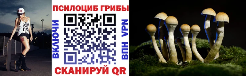 Псилоцибиновые грибы GOLDEN TEACHER  ОМГ ОМГ ТОР  Краснодар 